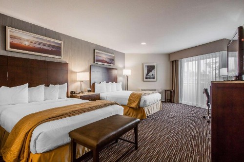 Quality Inn & Suites Hermosa Beach - image 6