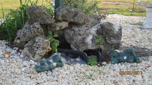 High Springs Country Inn - image 14