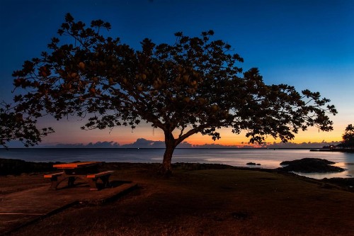 Castle Hilo Hawaiian Hotel - image 17