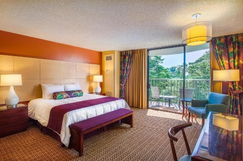 Castle Hilo Hawaiian Hotel - image 3