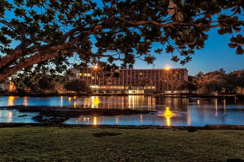 Castle Hilo Hawaiian Hotel - image 7