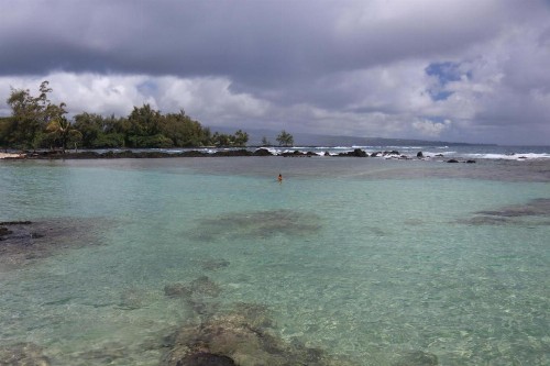 Grand Naniloa Hotel a Doubletree by Hilton - image 37