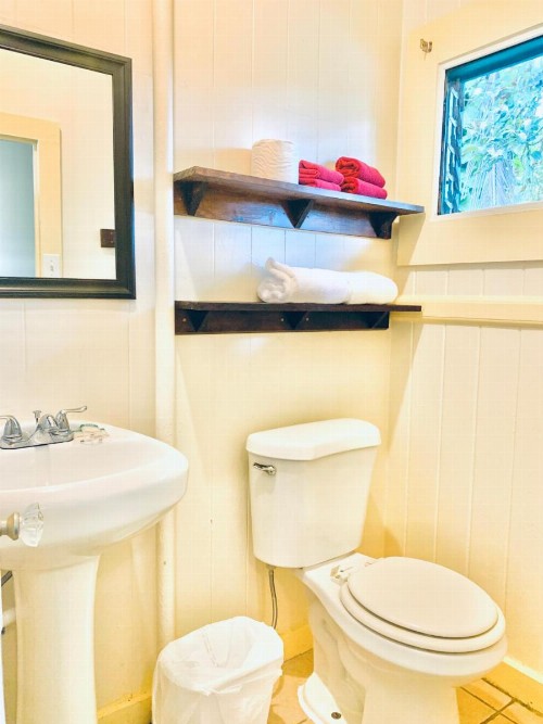 Wild Ginger Inn Hotel & Hostel - image 15