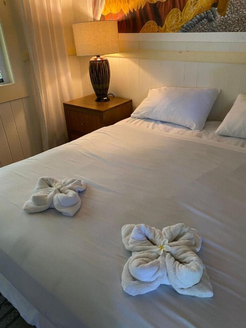 Wild Ginger Inn Hotel & Hostel - image 16
