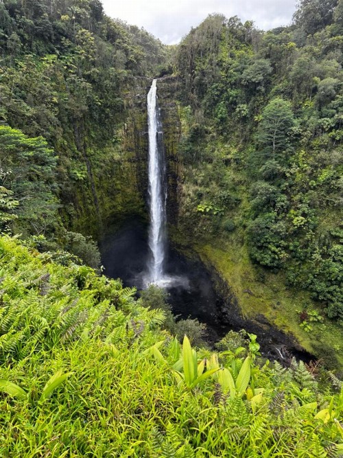 Wild Ginger Inn Hotel & Hostel - image 25