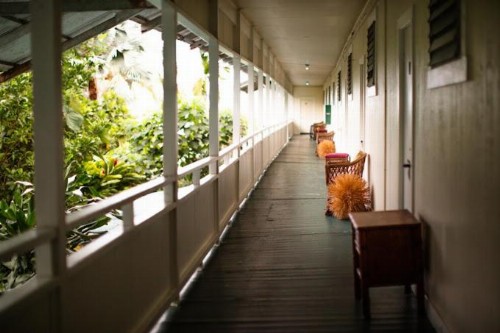 Wild Ginger Inn Hotel & Hostel - image 35