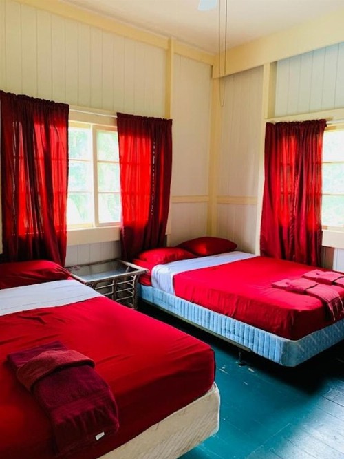 Wild Ginger Inn Hotel & Hostel - image 38