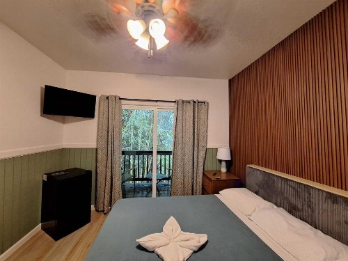 Wild Ginger Inn Hotel & Hostel - image 50