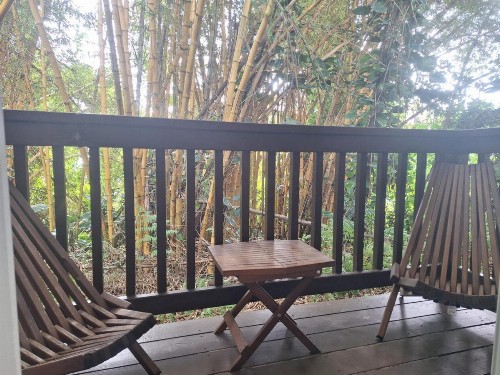 Wild Ginger Inn Hotel & Hostel - image 7