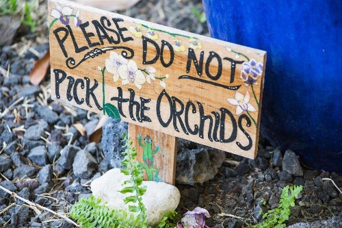 Arnott's Lodge & Hiking Adventures - image 14