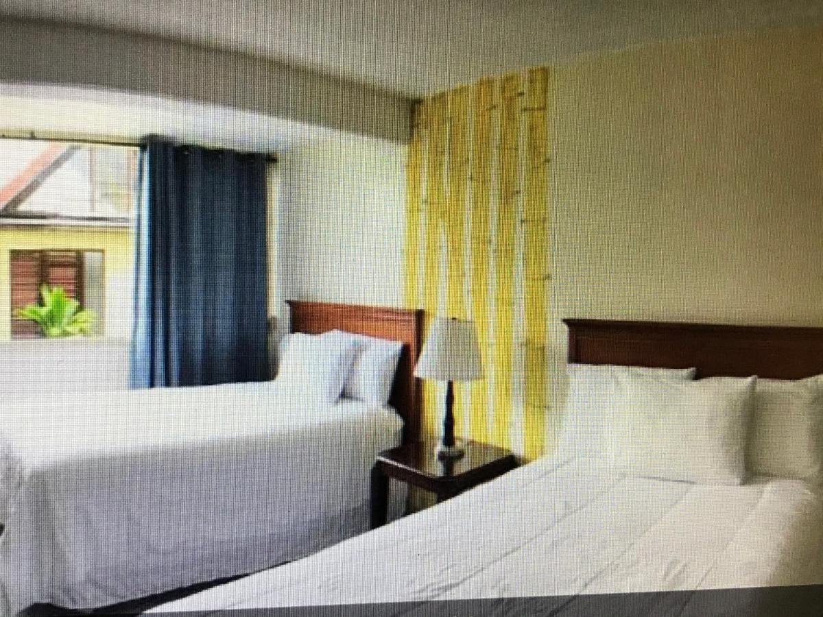 Hilo Reeds Bay Hotel - image 2