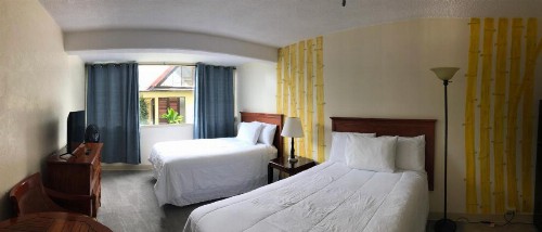 Hilo Reeds Bay Hotel - image 22