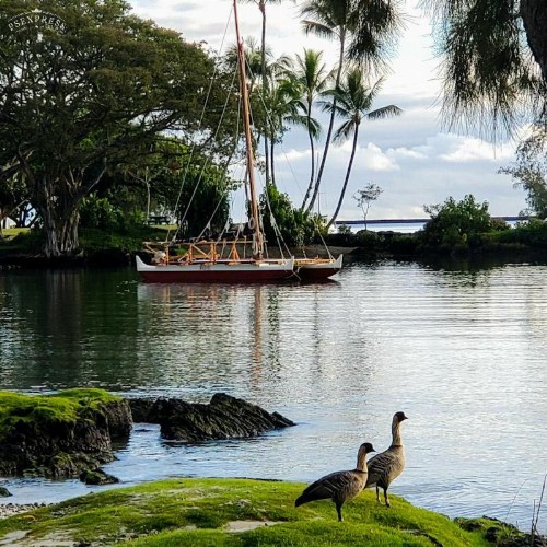Hilo Reeds Bay Hotel - image 26