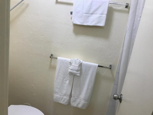 Hilo Reeds Bay Hotel - image 6