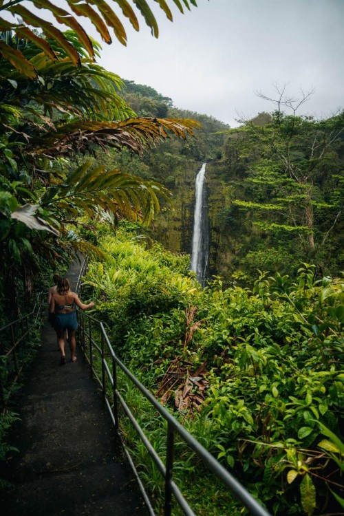 Hilo Bay Hostel - image 15