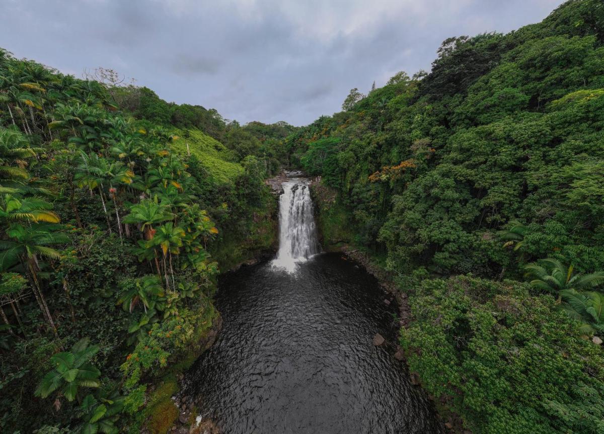Hilo Bay Hostel - image 7