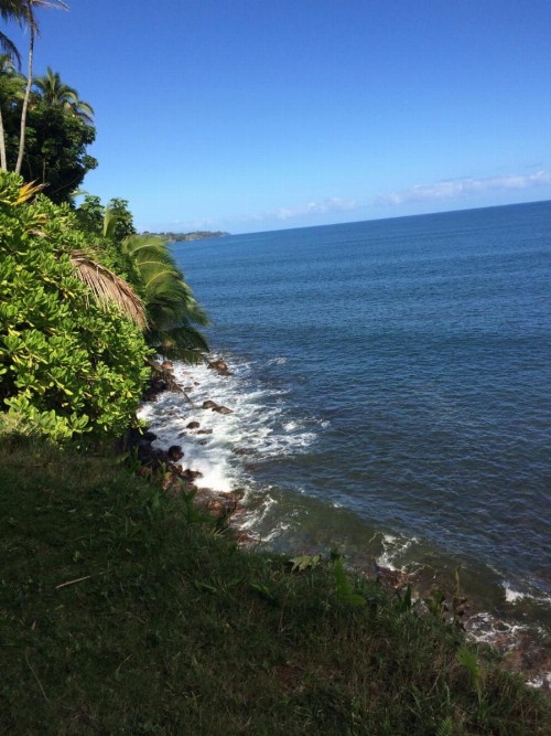 Hilo Bay Oceanfront Bed and Breakfast - image 14