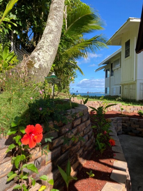 Hilo Bay Oceanfront Bed and Breakfast - image 24