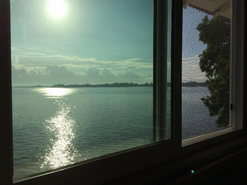 Hilo Bay Oceanfront Bed and Breakfast - image 30