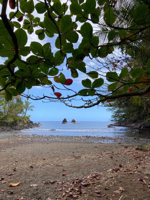 Hilo Bay Oceanfront Bed and Breakfast - image 33