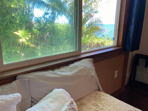 Hilo Bay Oceanfront Bed and Breakfast - image 34