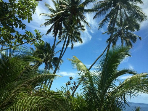 Hilo Bay Oceanfront Bed and Breakfast - image 4