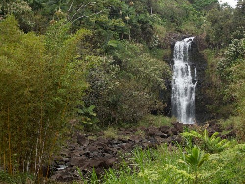 The Inn at Kulaniapia Falls - image 17