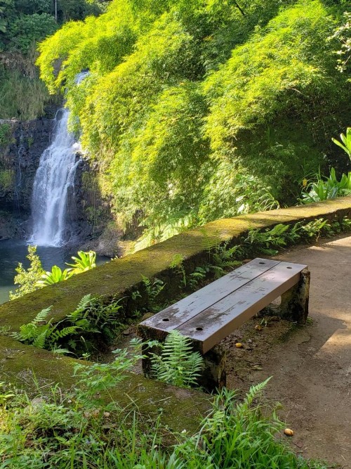 The Inn at Kulaniapia Falls - image 20