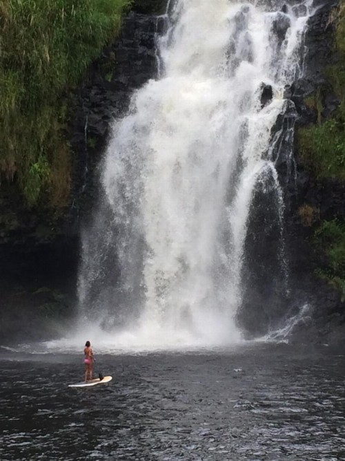 The Inn at Kulaniapia Falls - image 9