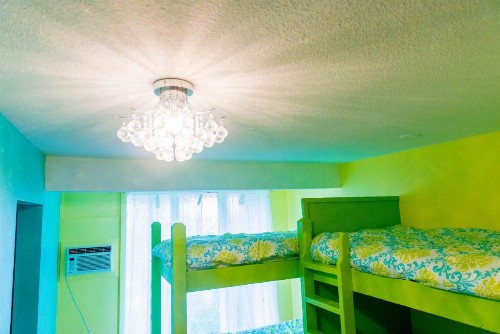 The Big Island Hostel - image 12