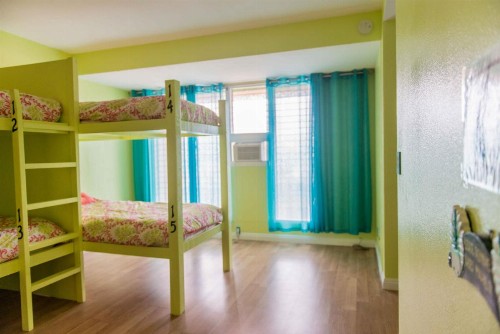 The Big Island Hostel - image 3