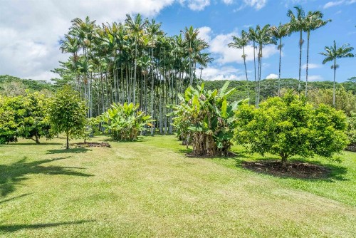 Old Hawaiian Bed and Breakfast - image 10