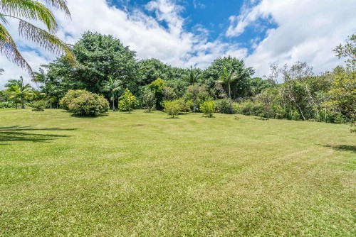 Old Hawaiian Bed and Breakfast - image 11