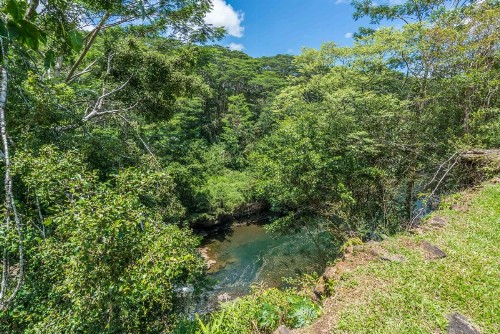 Old Hawaiian Bed and Breakfast - image 34