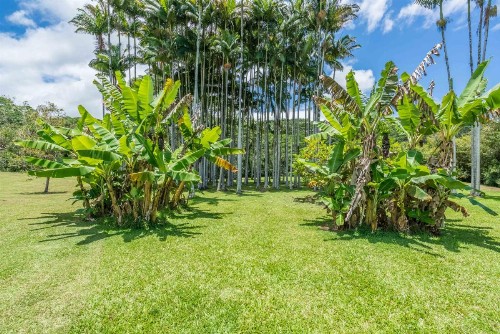 Old Hawaiian Bed and Breakfast - image 5