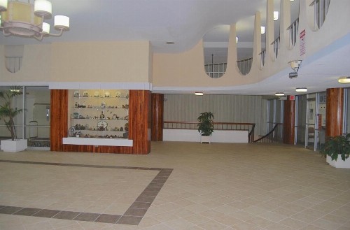 Condo Living Downtown Mountain Views - image 6