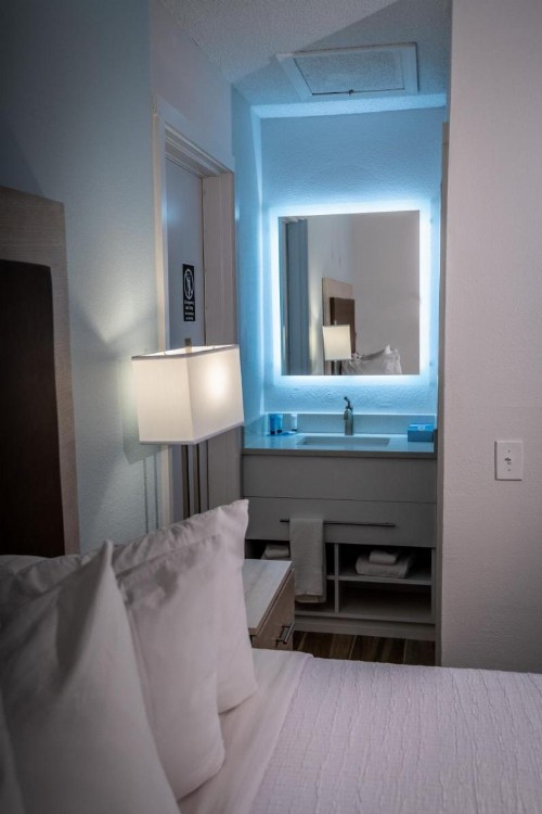 Palmera Inn and Suites - image 26