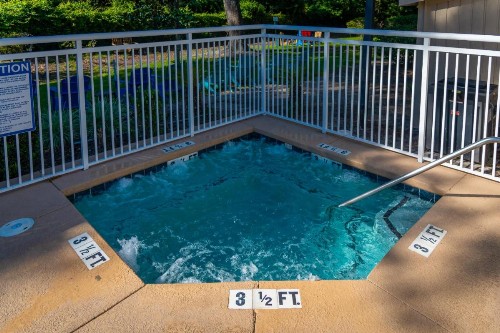 Palmera Inn and Suites - image 4