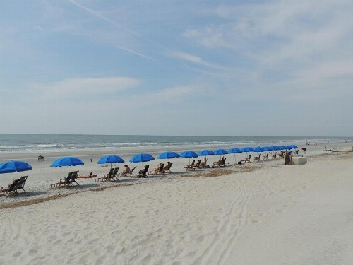512 Oceanwalk 2 BR Forest Beach Condo - image 24