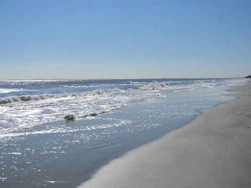 2309 SeaCrest 3 BR Forest Beach Condo - image 42
