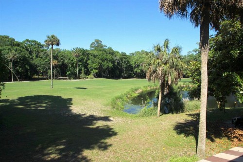 Eagle Watch - image 10