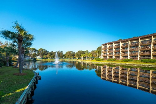 Island Club 3 - image 5