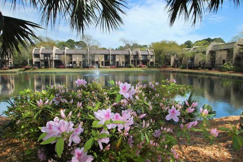 Island Club 1 - image 7