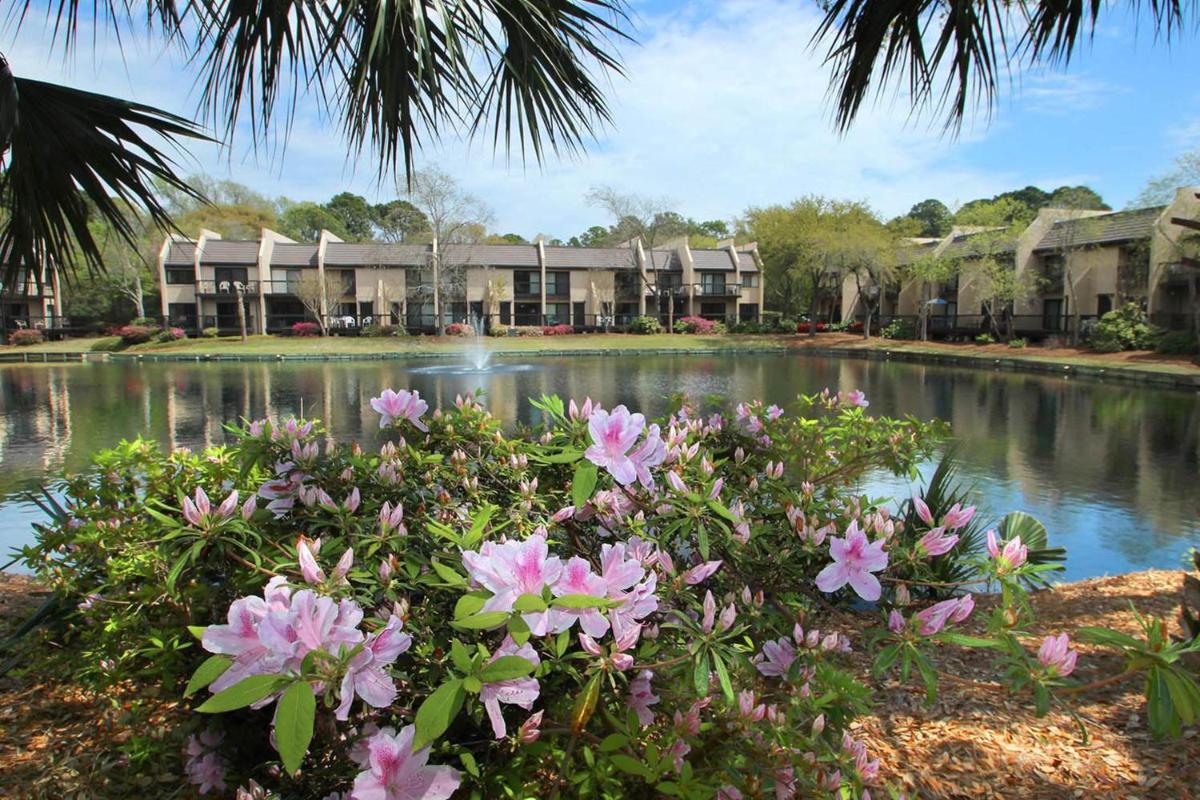 Island Club 1 - image 7