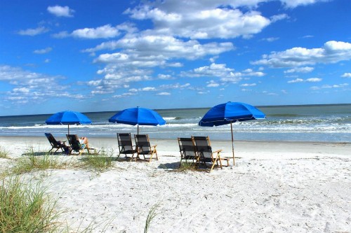 Ocean Cove 826 - image 7