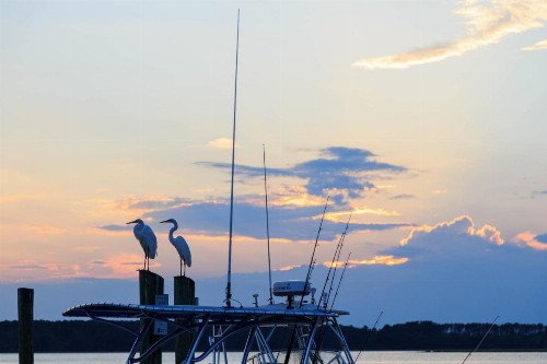 Stoney Creek 272 - image 6