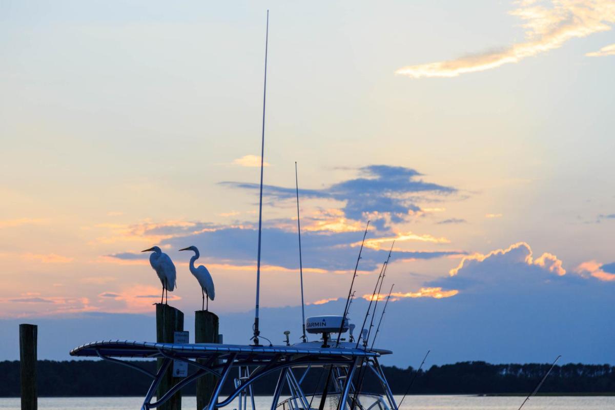 Stoney Creek 272 - image 6