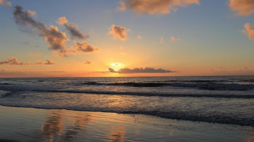2 East Wind - image 4