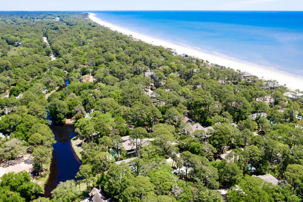 18 South Beach Lane 4 BR Home Sea Pines - image 6