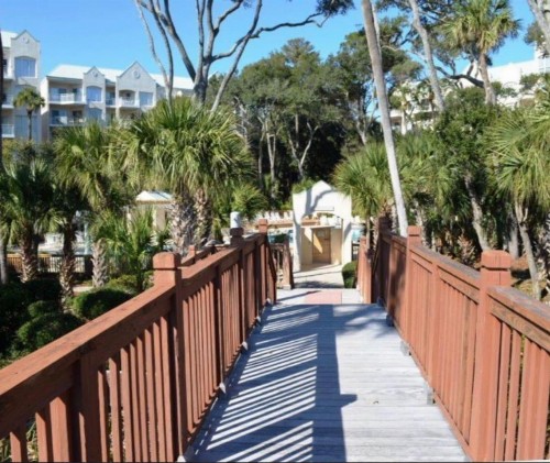 Windsor Place - Palmetto Dunes - Oceanfront. Pools. Hilton Head Island - image 42